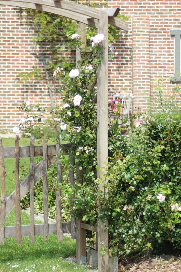 't Ligt Ter Velde, Oase Rust, Sauna, Directie Brugge *